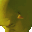 :RIZZ: