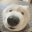 :woofwoof:
