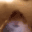 :WeirdChamp: