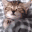 :sleepo: