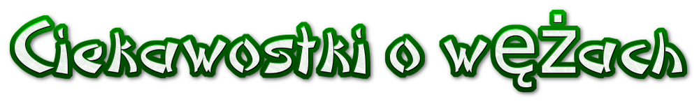 image.thumb.png.b496bdc0922073f91b8c007b65a6c266.png