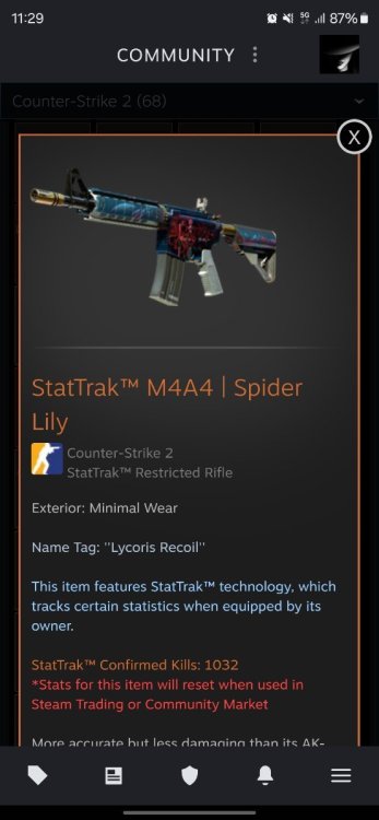 Screenshot_20241210_112952_Steam.thumb.jpg.d1a33f38cd6d893c5160e6ae8fbd7da6.jpg
