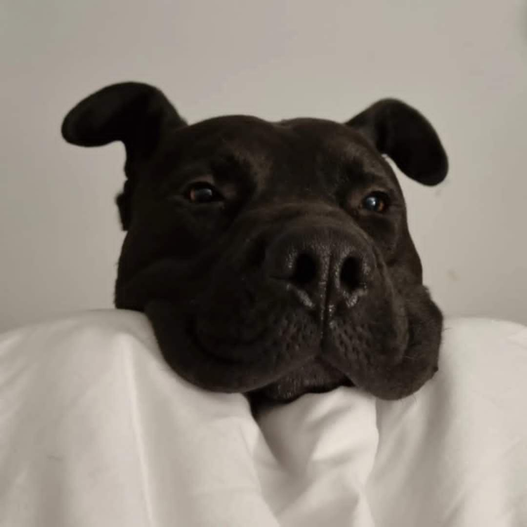 image.thumb.png.0205c0b83ef3292fad2f4c8b2f83714c.png