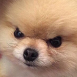 image.png.e8e93397318d32c1b7e3df0e5d6e2631.png