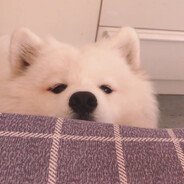clouzie