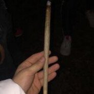 elf