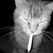 Bartuss