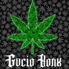 GUCIO BONK
