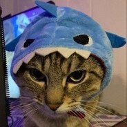 savinek4
