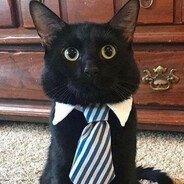 HipisNorbert