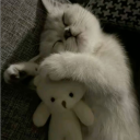 pixeel