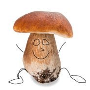 gszypp