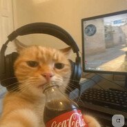 xredd6