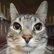 Iglaok