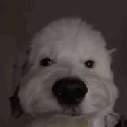 hej
