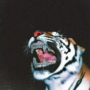 kodak