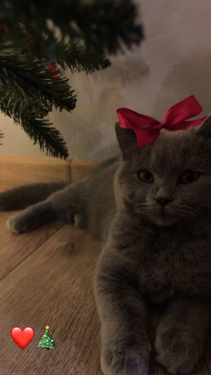 93C777C4-CBFA-40FA-A938-389999A889B1.jpeg