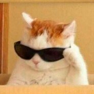 Catmp4