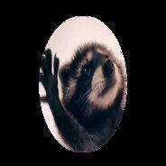 qwer