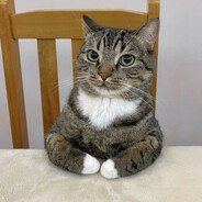 pawjob