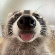 Ghostify
