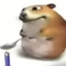 rudymesjarz