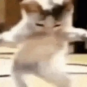 kuchniaaaaaa