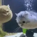 kuchniaaaaaa