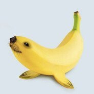 sdaadadadsads