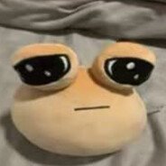 zolwik