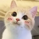 xksoksox