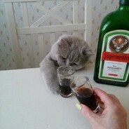 pablej