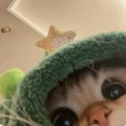 wiktorrrrrr