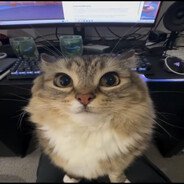 TaFuBiceps