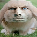 Zyziek