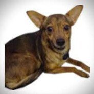 schabo444