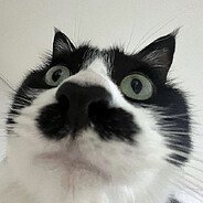 dada