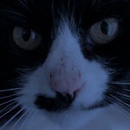 Noir