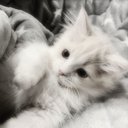 kuchniaaaaaa