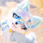 NAVIvexor