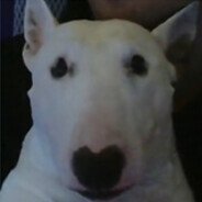 uzikz