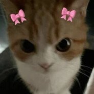 Kicia z AK