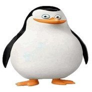 whatthehellyon