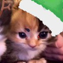Melus