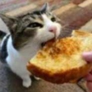 pawjob