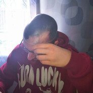 sylwek