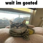 Swazxtr