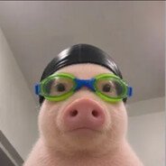 uzikz