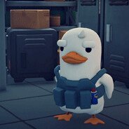 WhyDuck